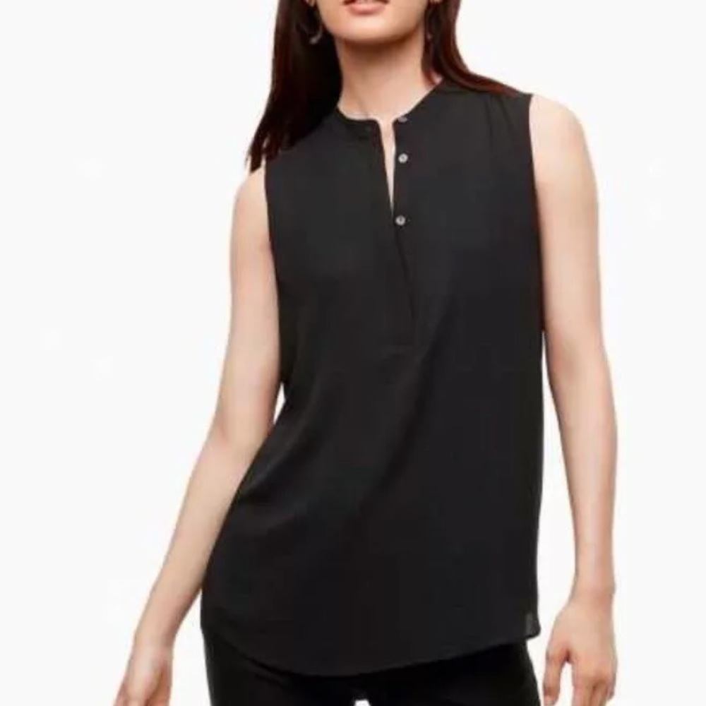 Aritzia Babaton Wolfgang Blouse
